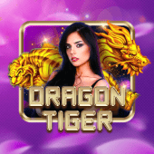 Dragon Tiger live casino on d9d9 login
