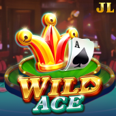 Wild Ace slot on d9d9 login
